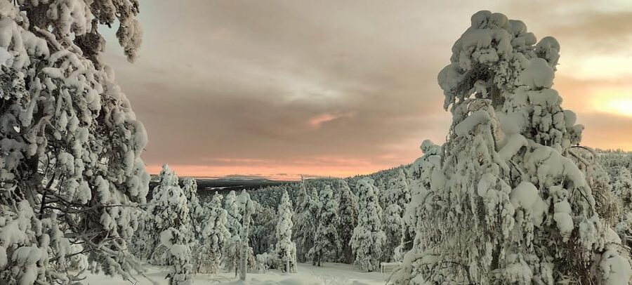 Lapland: Private Snowmobile Safari with arctic Local Guide - Why this Luosto snowmobile trip feels different