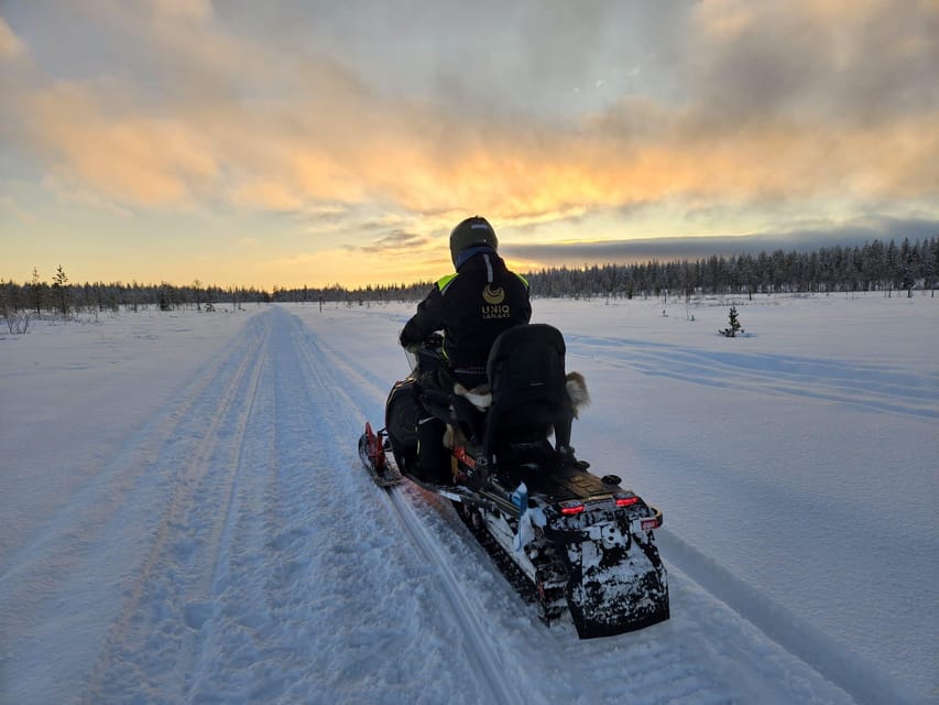 Lapland: Private Snowmobile Safari with arctic Local Guide - Evening departures and the northern lights