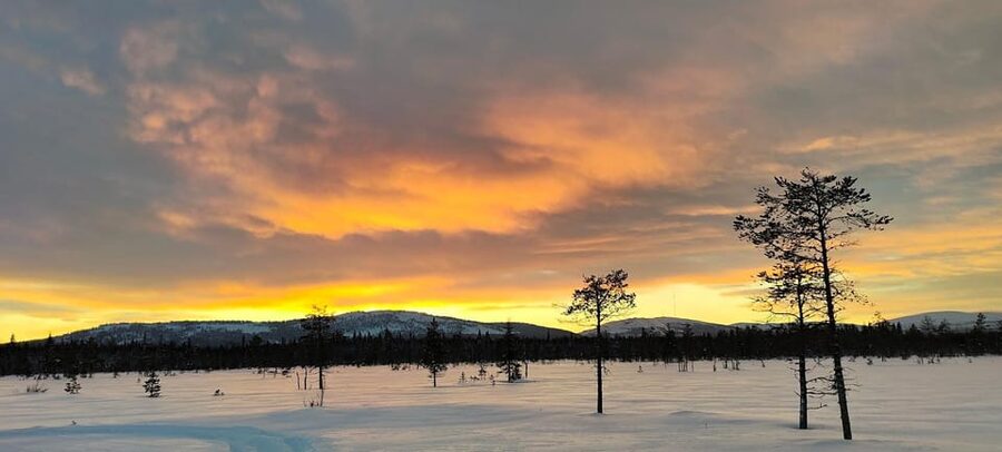 Lapland: Private Snowmobile Safari with arctic Local Guide - Getting ready at the Luosto starting point