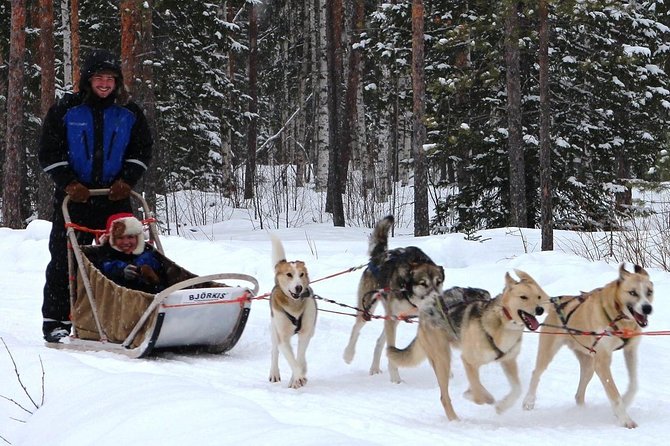 Lapland Reindeer and Husky Safari from Rovaniemi - What to wear and bring