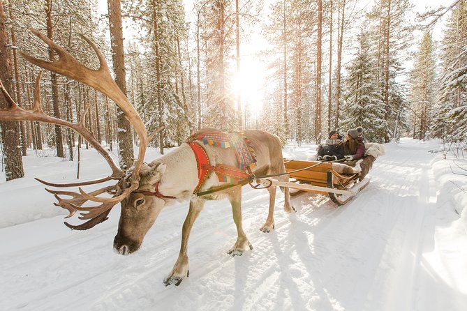 Lapland Reindeer Safari from Rovaniemi - Quick takeaways