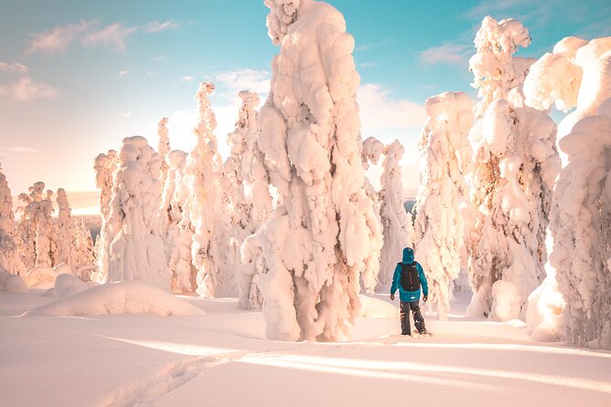 Lapland Winter Experience - Snowshoeing into Rovaniemi’s winter forest