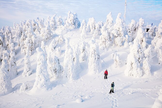 Lapland Winter Experience - Who will enjoy this outing most?