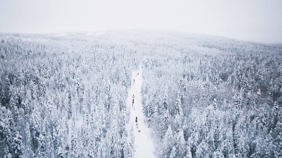 Levi: 15-Kilometres Self-Driving Husky Tour - What driving a two-person sled involves