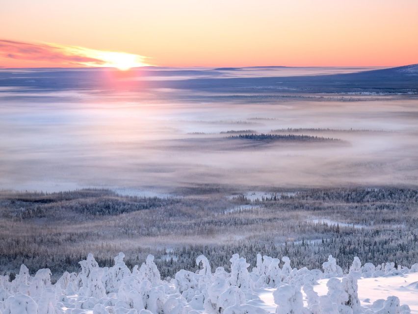 Levi: 4 Hour Snowmobile Safari to the Fells in Levi - Practical details before you reserve