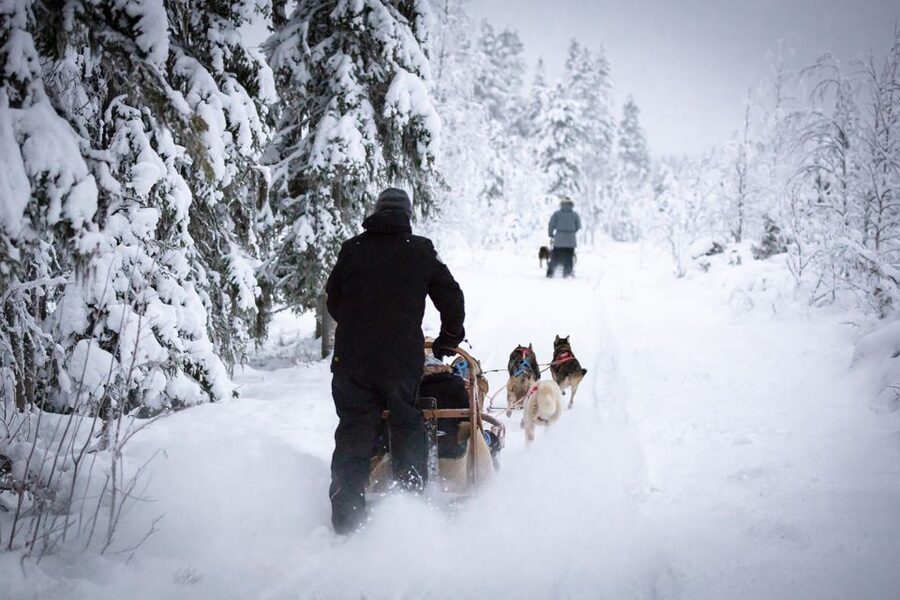 Levi: 7 km Self-Drive Husky Sledding Adventure - Why the self-drive format matters