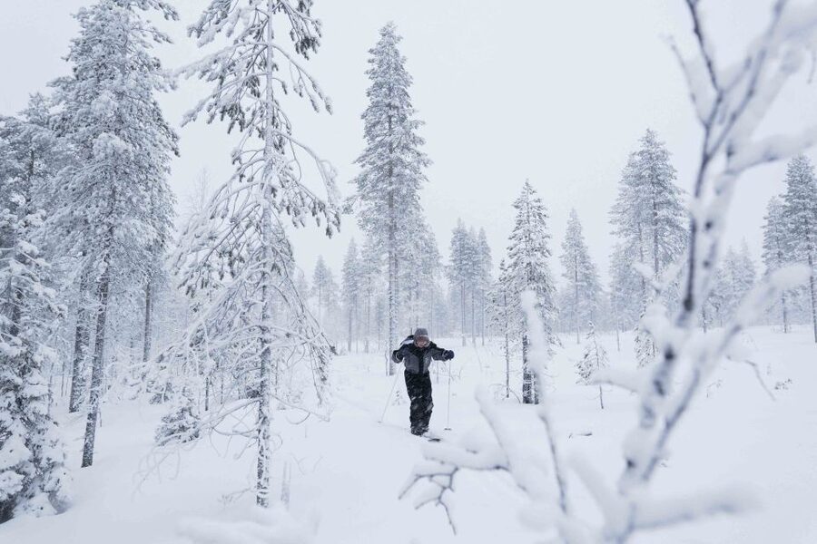 Levi: Backcountry Skiing Adventure - Should you book the Levi backcountry ski adventure?