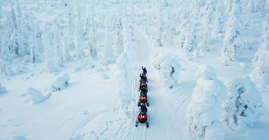 Levi: Easy Snowmobile Safari into the Nature - Should you book the Levi snowmobile safari?