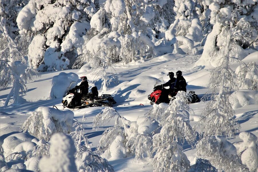 Levi: Easy Snowmobile Safari into the Nature - Frozen lakes, forest tracks, and the quiet between engines