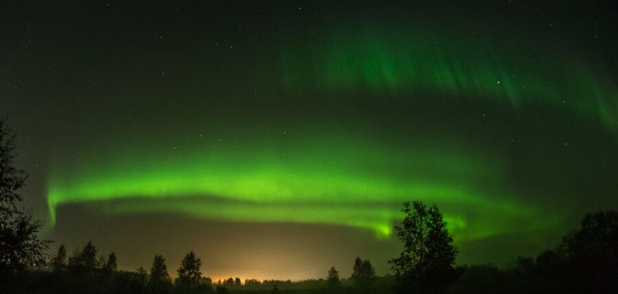 Levi: Evening Husky Sled Ride under the Northern Lights - A Quiet Start in Levi After Dark