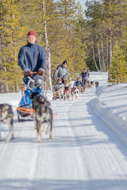 Levi: Evening Husky Sled Ride under the Northern Lights - A Ten-Kilometer Run Through the Snow