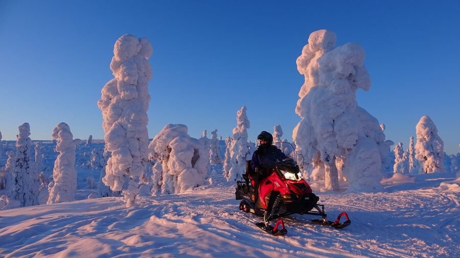 Levi: Evening Snowmobile Safari - Who will enjoy this evening safari