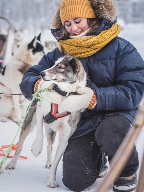 Levi: Guide-driven Husky Safari - Key points to know before booking