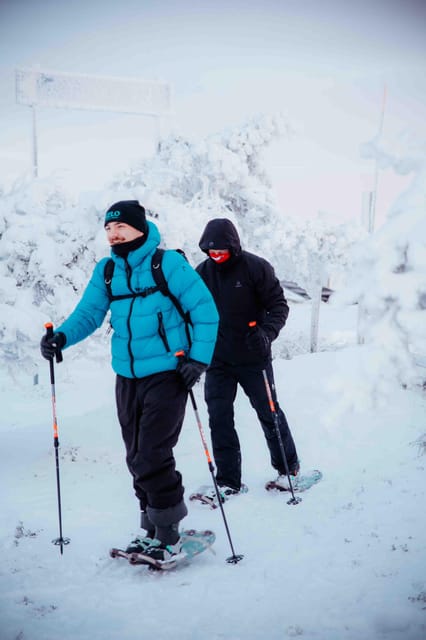 Levi: Guided Snowshoeing Adventure - What the two-hour outing is likely to feel like