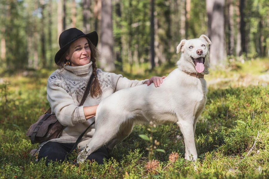 Levi: Horse and Husky Farm Visit with Juice and Cookies - Meeting the animals on Muoniontie 955