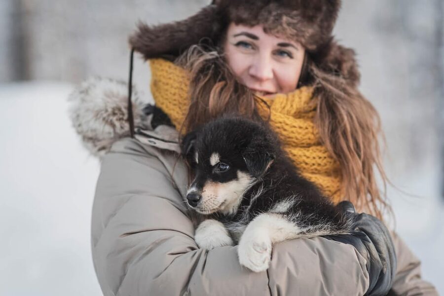 Levi: Horse and Husky Farm Visit with Juice and Cookies - What the huskies teach you about winter work