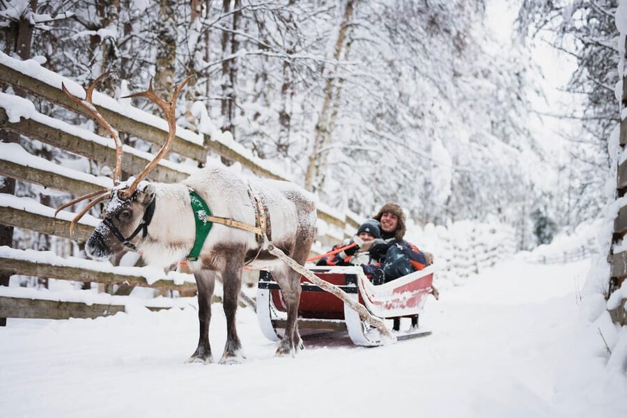 Levi: Husky and Reindeer Farm Visit with Snowmobiling - Getting ready for Levi’s cold