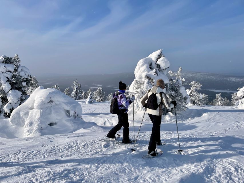 Levi: Lakeside forest snowshoeing - Snow-covered trees and your own trail