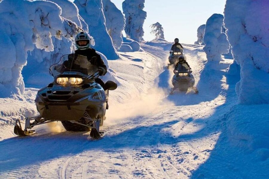 Levi: Lapland Family Snowmobile Safari - Key points to know before booking