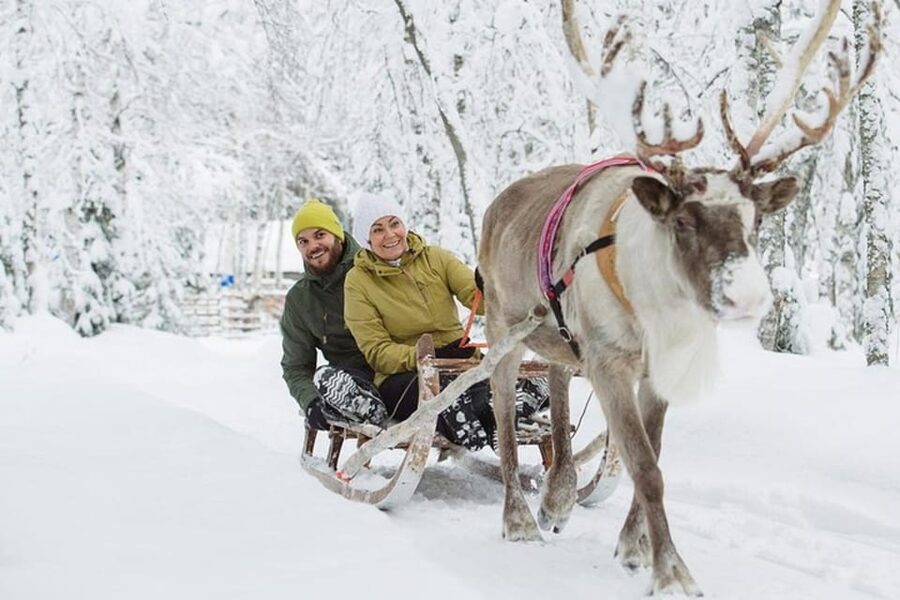 Levi: Lapland Reindeer and Husky Safari - Two Lapland rides in one morning