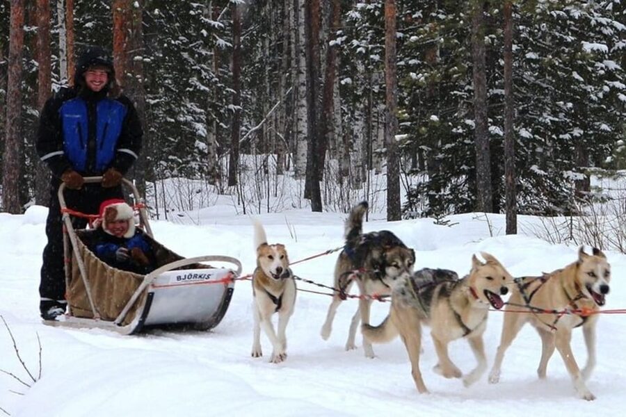 Levi: Lapland Reindeer and Husky Safari - The 2-kilometer husky sled ride