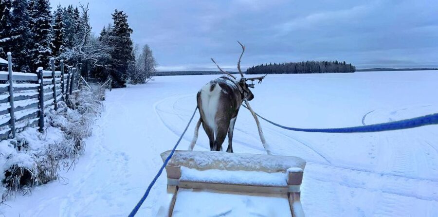 Levi: Lapland Reindeer Safari - Clothing, comfort, and access