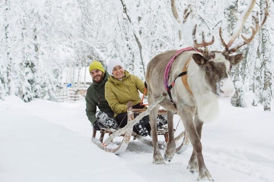 Levi: Lapland Reindeer Safari - Who will enjoy this safari most