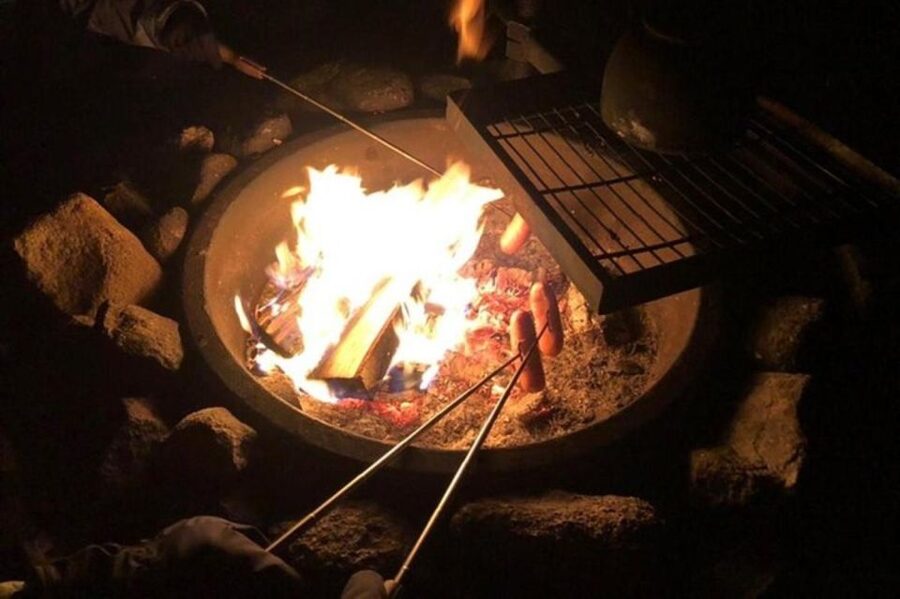 Levi: Northern Lights Hunt Including Campfire Snacks - Key points to know before booking