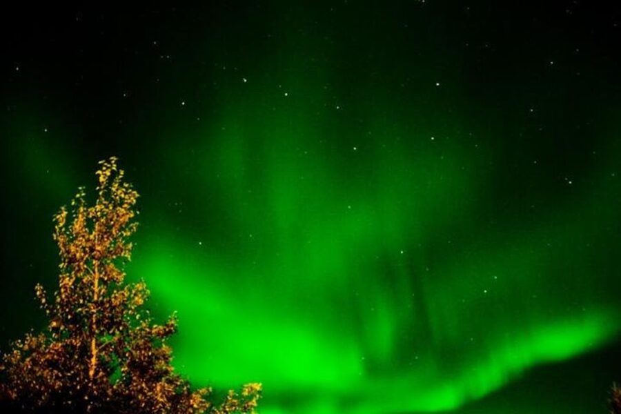 Levi: Northern Lights Hunt Including Campfire Snacks - Do not confuse it with a snowmobile-driving trip