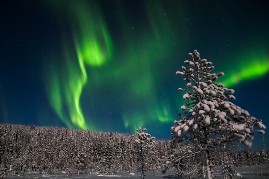 Levi: Northern Lights Hunting Photo Tour - Warm drinks, cookies, and the cold