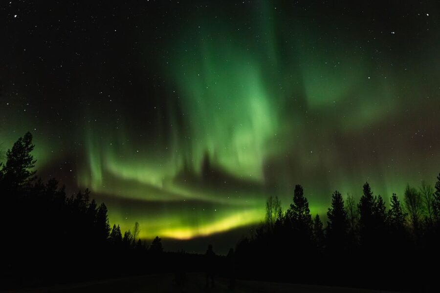 Levi: Northern Lights Hunting Photo Tour - What the four-hour evening looks like