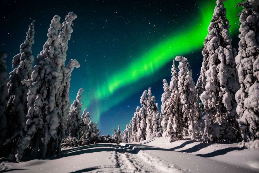 Levi: Northern Lights Hunting - Photography Tour - Is $165 a fair price?