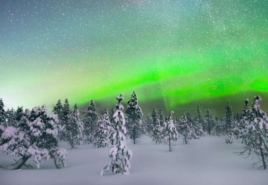 Levi: Northern Lights Snowmobile Tour with Snacks and Drinks - Who should book this evening safari?