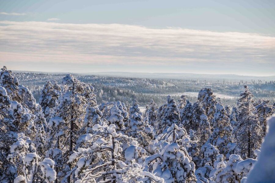 Levi: Pallas National Park Adventure with Pro Photos & BBQ - Who will enjoy this hike most