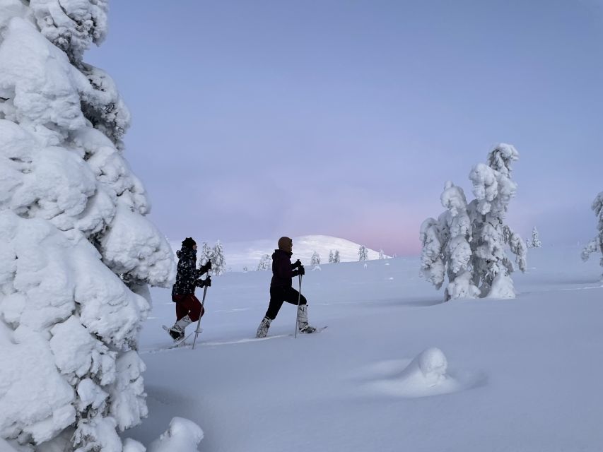 Levi: Pallas-Yllästunturi National Park Snowshoeing Tour - Key points before you book