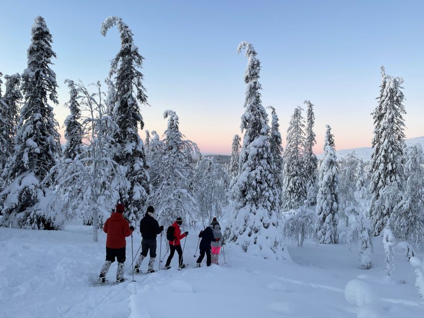 Levi: Pallas-Yllästunturi National Park Snowshoeing Tour - What the $187 price really covers