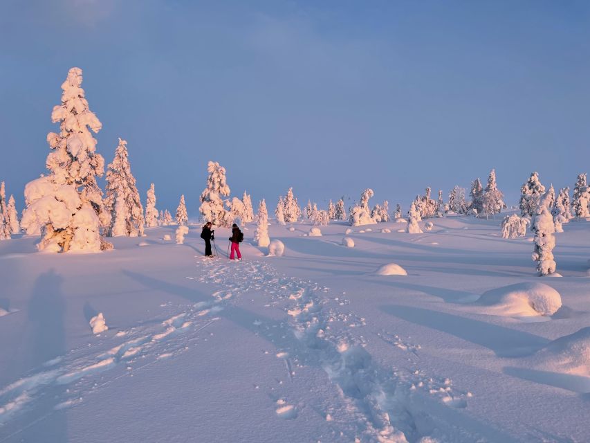 Levi: Pallas-Yllästunturi National Park Snowshoeing Tour - The atmosphere: quiet, clear, and free of resort noise