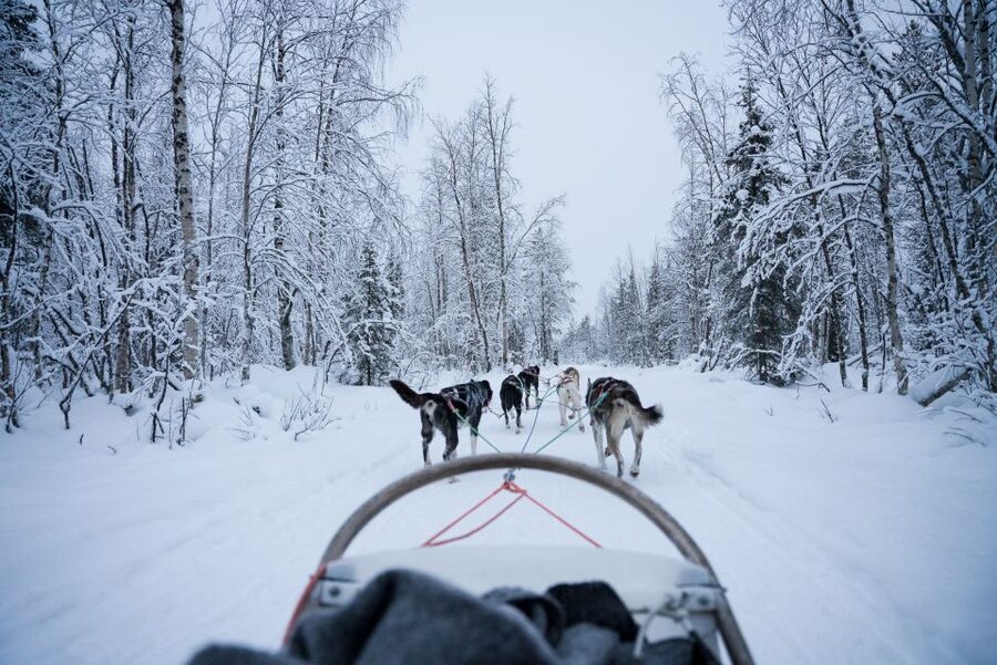 Levi Polar Lights Tours: Arctic Circle Guided Husky Tour - Safety instructions before the dogs run