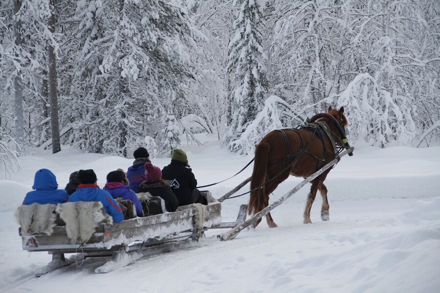 Levi, Polar Lights Tours: One Horse Open Sleigh Ride - A quiet way to meet Lapland after dark