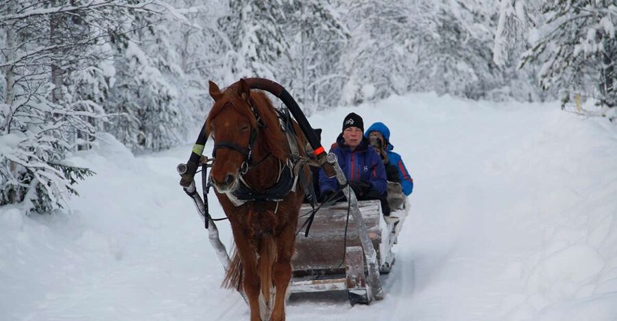 Levi, Polar Lights Tours: One Horse Open Sleigh Ride - The 5-minute safety briefing