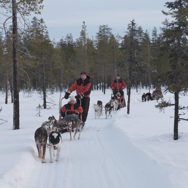 Levi Polar Lights Tours: Path of the Gnome Husky Safari 15km - From Hissitie 11 to the family farm