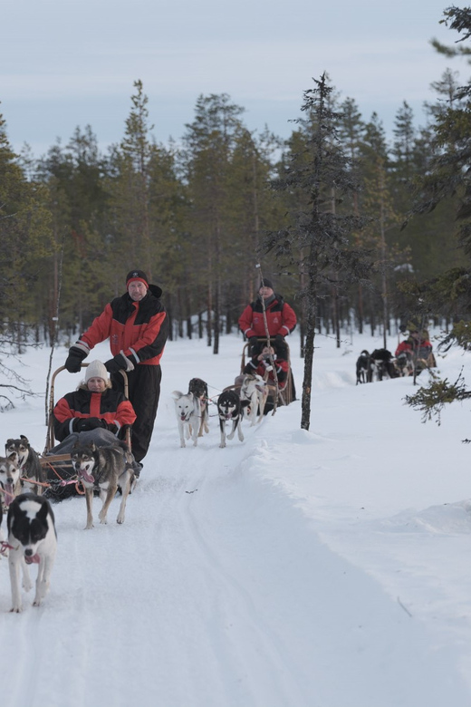 Levi Polar Lights Tours: Path of the Gnome Husky Safari 15km - Driving through the snowy forest for 15 to 18 kilometers