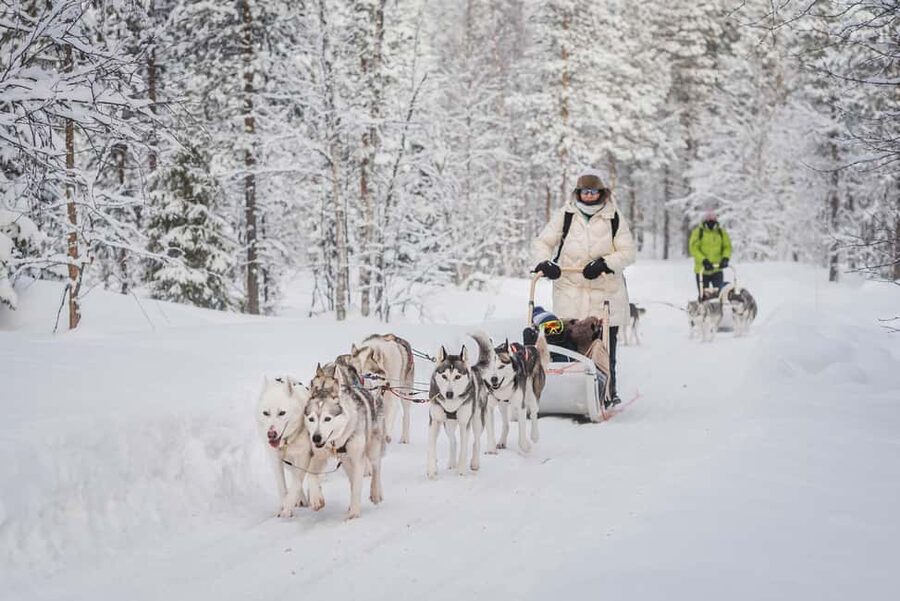 Levi Polar Lights Tours: Path of the Gnome Husky Safari 15km - Learning to handle a two-person sled