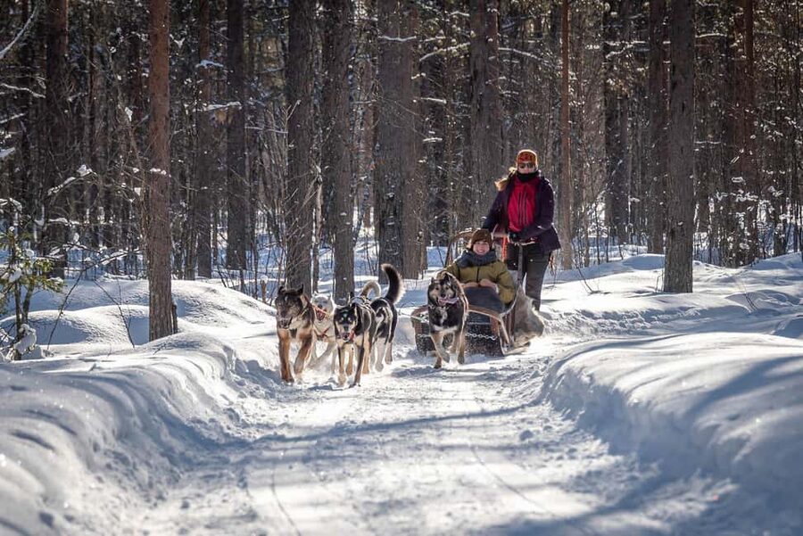 Levi Polar Lights Tours: Reindeer and Husky Taster - Two kinds of Lapland in one short outing
