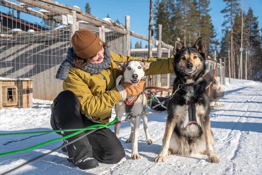 Levi Polar Lights Tours: Reindeer and Husky Taster - How the 90-minute schedule really feels