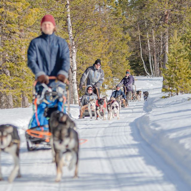 Levi Polar Lights Tours: Reindeer and Husky Taster - Meeting the bus at Hissitie 11