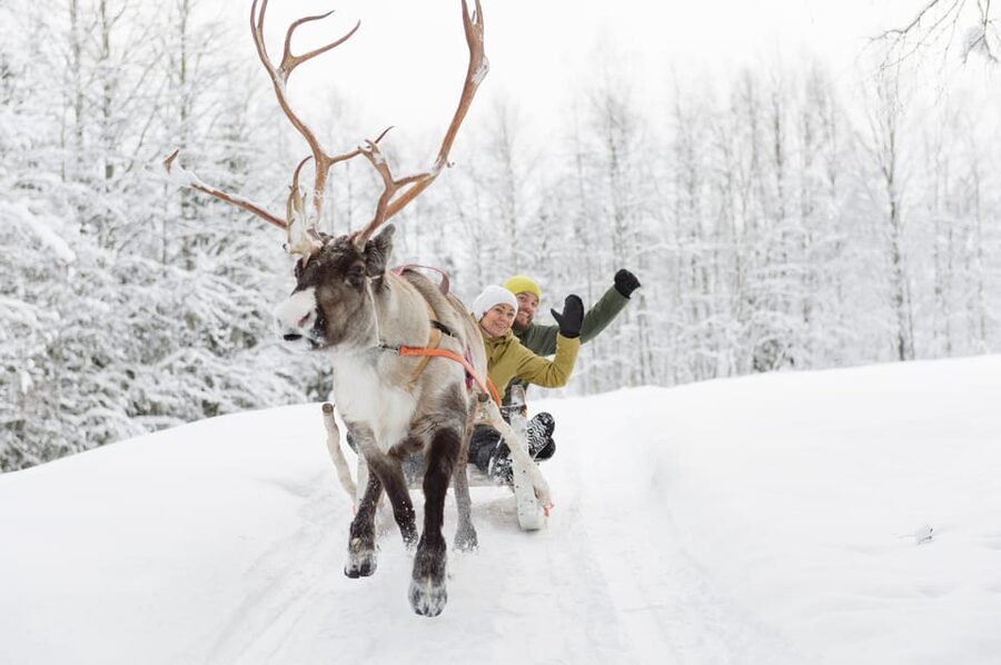 Levi: Reindeer Experience with Sled Ride - Who will enjoy this outing most