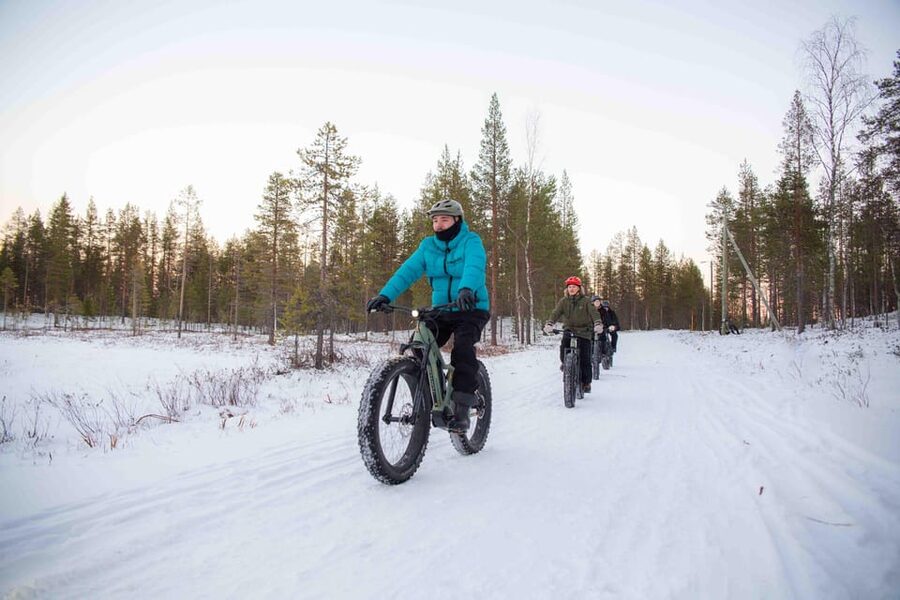 Levi: Reindeer Farm E-Fatbike Safari - Riding into Lapland’s snowy foothills