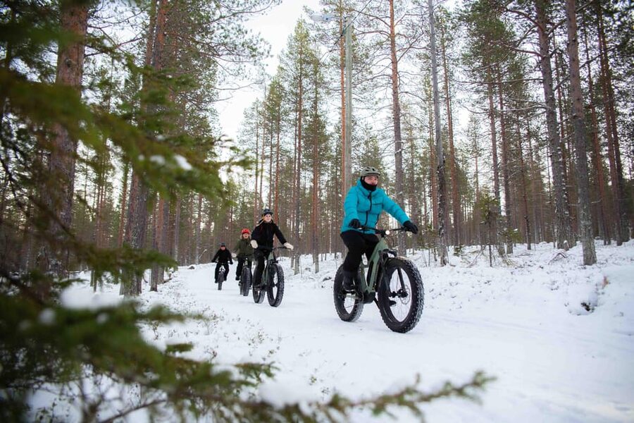 Levi: Reindeer Farm E-Fatbike Safari - A warm pause with drinks and pastries