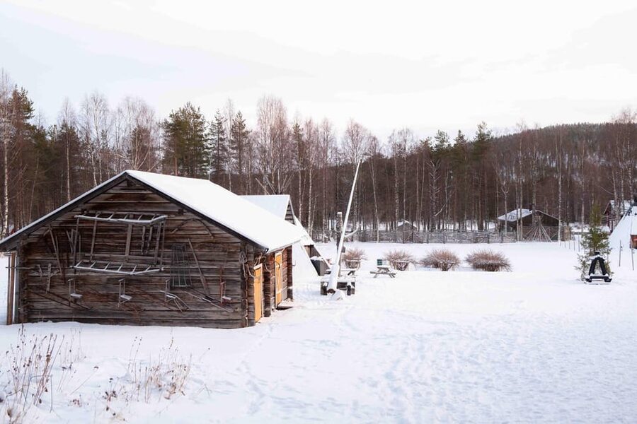 Levi: Reindeer Farm E-Fatbike Safari - The reindeer farm visit